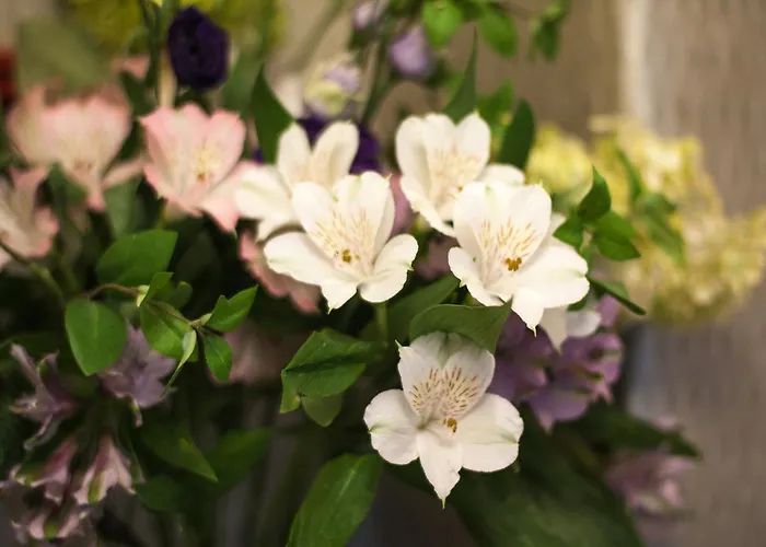 Ascot House 해러게이트